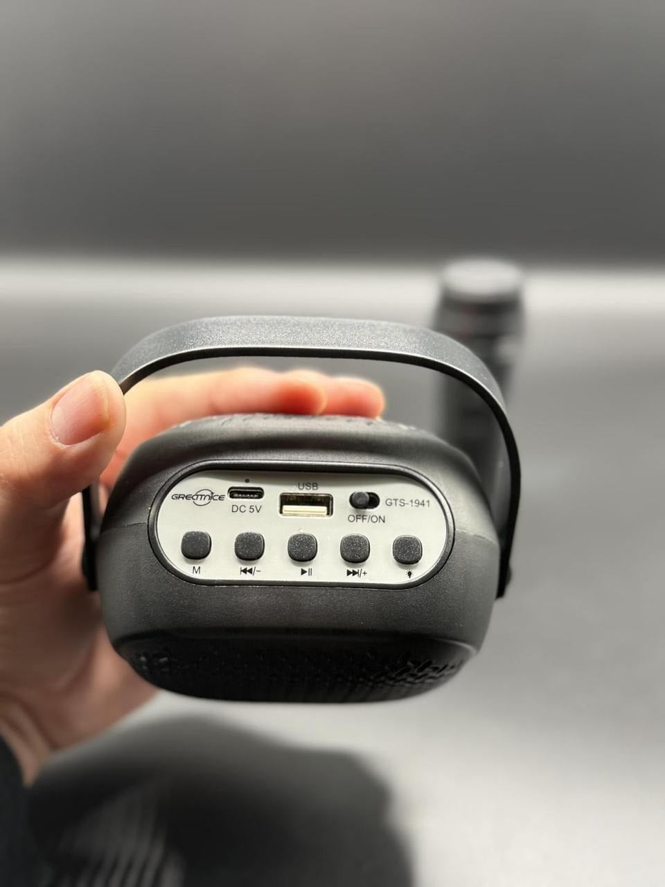 Bluetooth Wireless Mic & Speaker – Big Sound, Portable