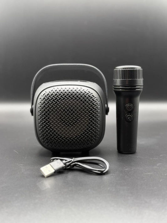 Bluetooth Wireless Mic & Speaker – Big Sound, Portable