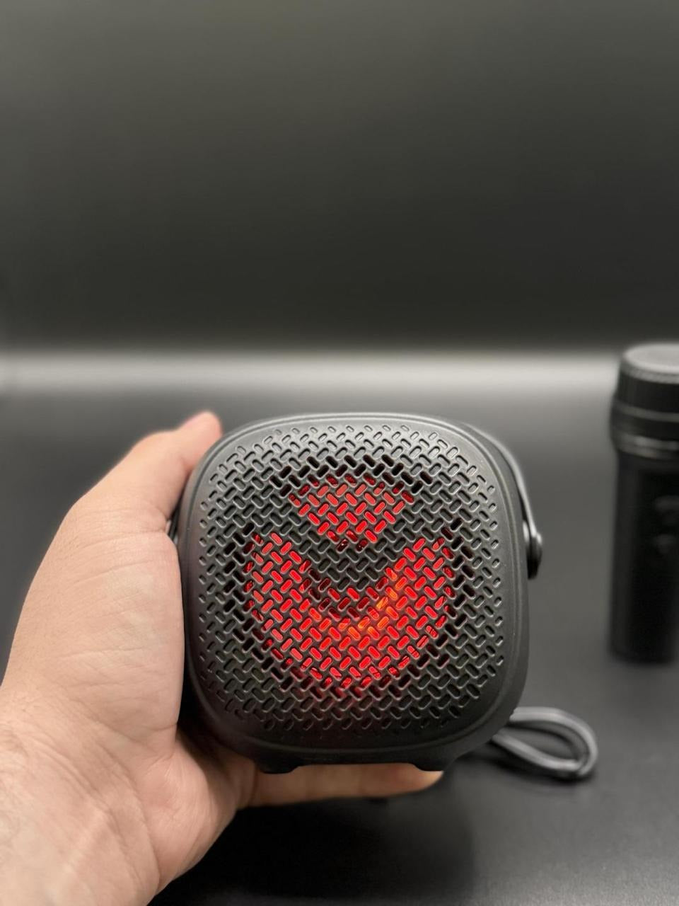 Bluetooth Wireless Mic & Speaker – Big Sound, Portable